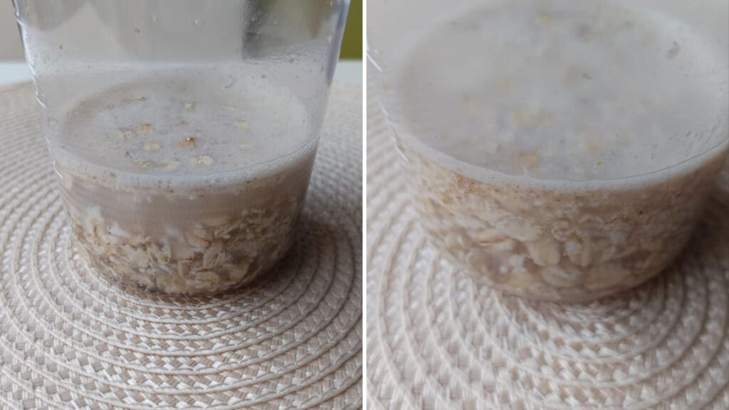 oat-flake-absorption-oatmeal-peach-smoothie